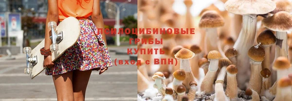 сатива Алексин