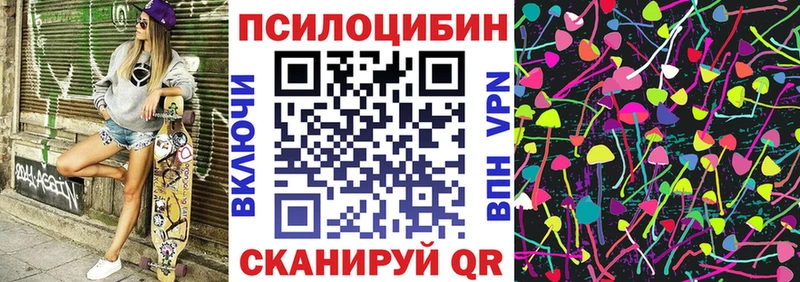 где можно купить наркотик  blacksprut как зайти  Галлюциногенные грибы Magic Shrooms  Заводоуковск 